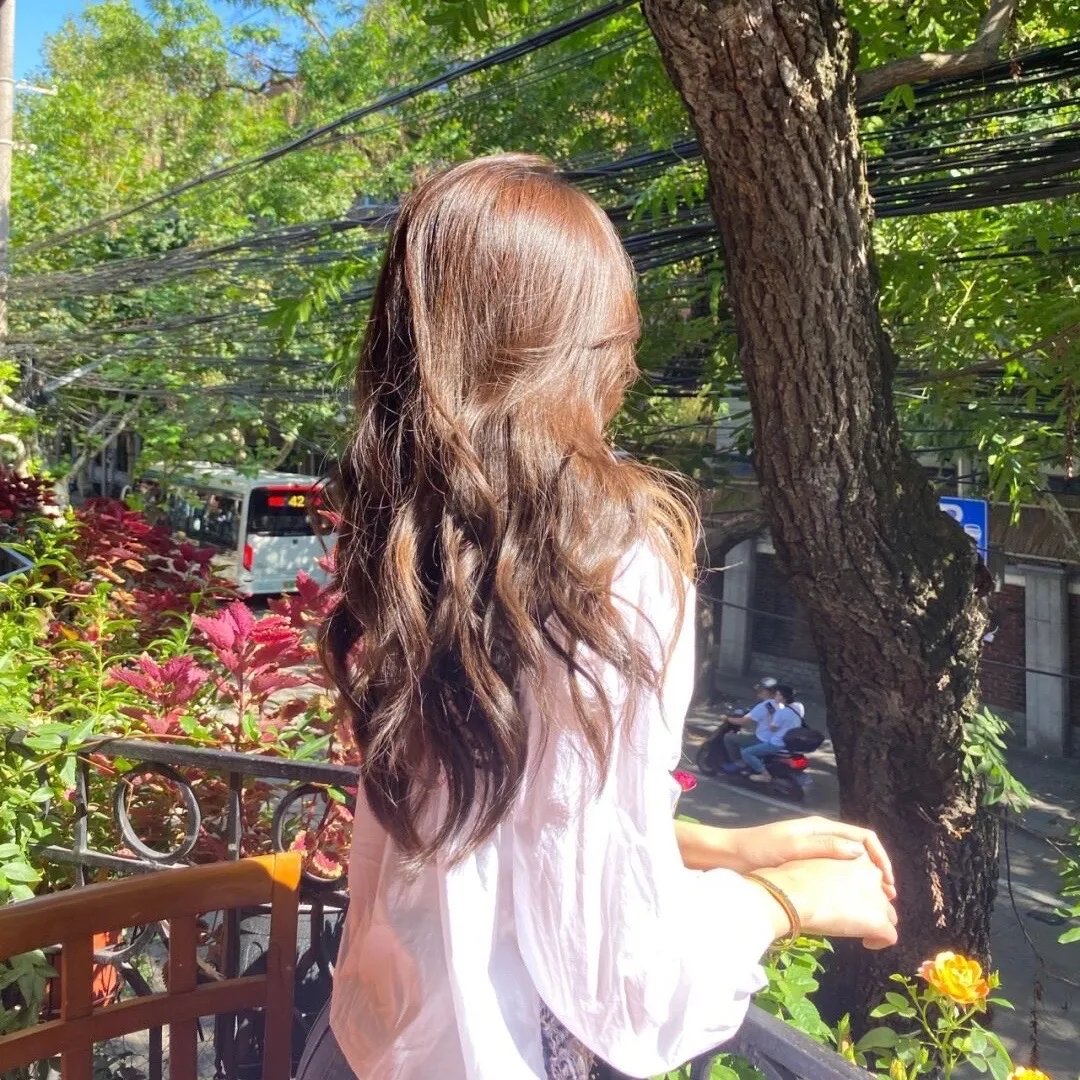 龙种